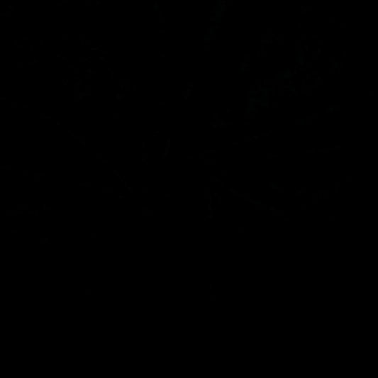 בד טריקו כותנה לייקרה